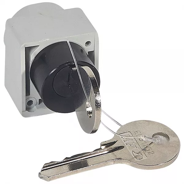 legrand-serrure verrou dpx�1600/630 commande motoris�e en position ouverte � cl� plate (026159)
