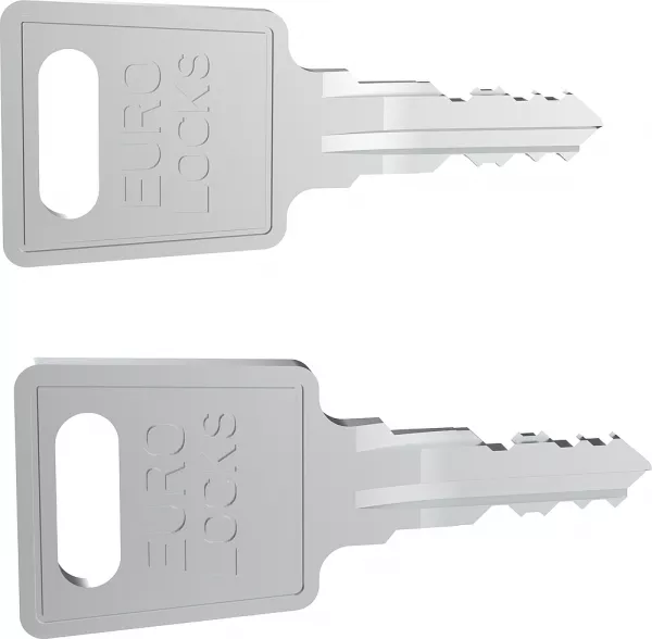 legrand-set de 2 cl�s code fh167 pour porte et panneaux lat�raux baie linkeo ral7016 (981079)