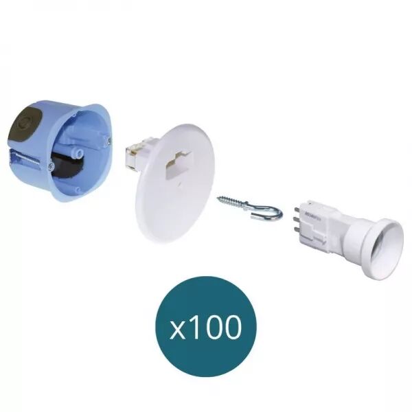 Lot 100 kits DCL centre d67 2entr�es E27 (53264)