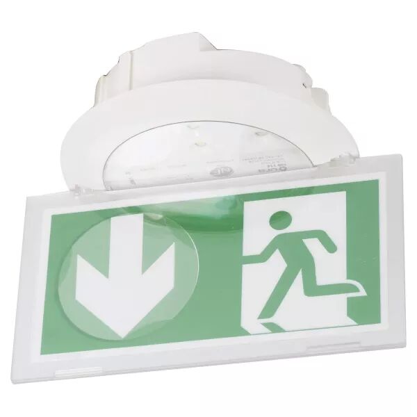 Luminaire sur Source Centrale LSC Practice �vacuation 110/220/230 Volts (129114)