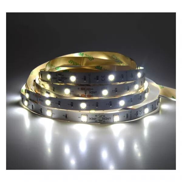 MIIDEX - &BANDEAU BLC 6000K 5M+C1426:C1476 30LED ET 7,2W/M IP20 24V (75154)