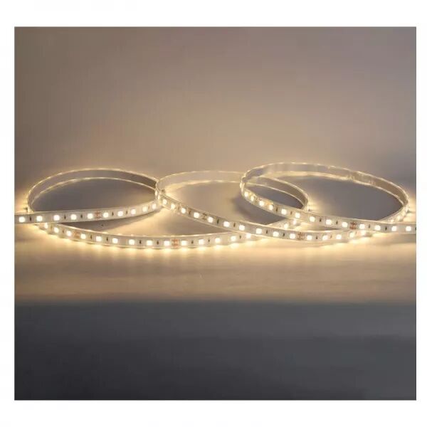 MIIDEX - BANDEAU BLC 3000K 5M 60LED ET 9W/M IP67 24V TUBE SILICONE (100430)