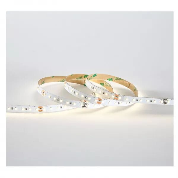 MIIDEX - BANDEAU BLC 4000K 5M 120LED ET 10W/M IP20 24V (100441)