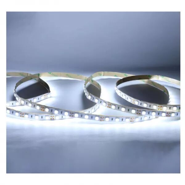 MIIDEX - BANDEAU BLC 6000K 5M 60 LED ET 9W/M IP54 24V SILICONE (100428)
