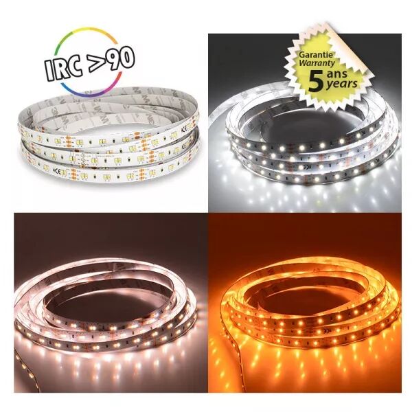 MIIDEX - BANDEAU BLC CCT 2000-6500K 5M 170LED 10W/M IP20 24V 5ANS (100707)