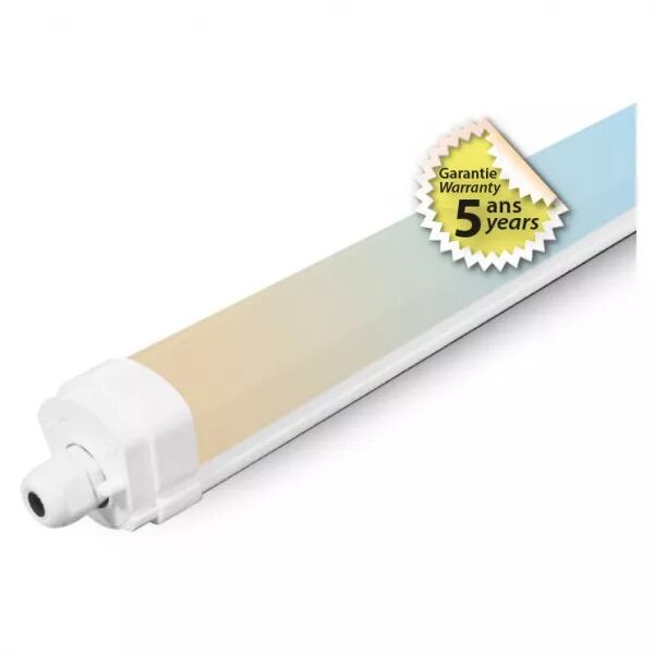 MIIDEX - DANUBE CCT ETANCHE LED 1255 X 58MM 35W CCT IP65 IK08 TRA CONNECT(X6) (100384)