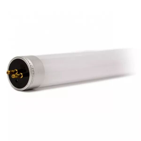MIIDEX - TUBE LED T5 550MM 8W 4000K 230V (X10) (7597)