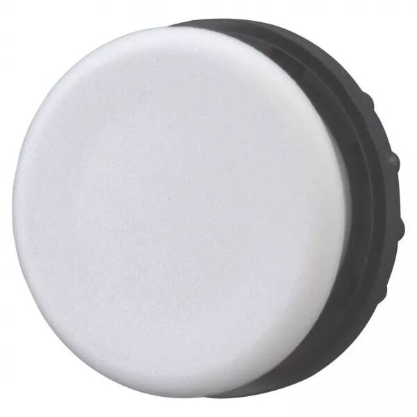 Obturateur, gris, grand paquet (216389)