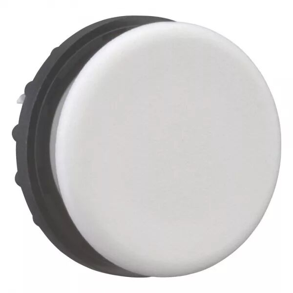 OBTURATEUR, GRIS, GRAND PAQUET