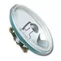 PAR36 DWE 120V 650W screw terminals (0060503)