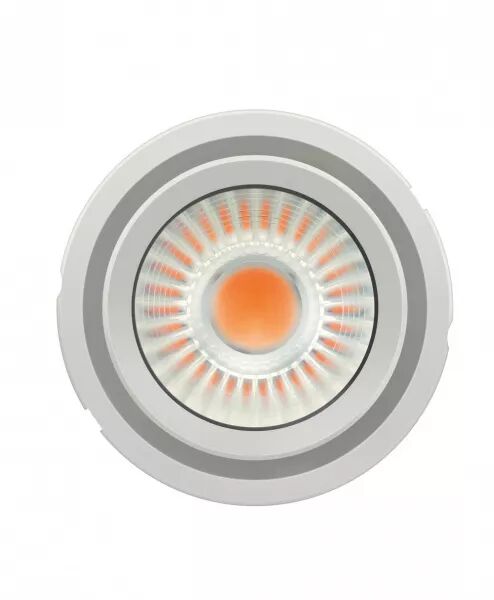 PL-CN111-COB-4300-840-40D-G2 12X1 OSRAM PREVALED� COIN 111 COB G2