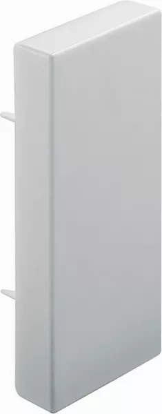 planet wattohm-embout � visser - pour goulotte de distribution viadis 40x25mm - pvc gris (16294)