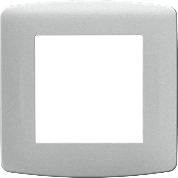 Plaque \ silver\  1 poste (61987)