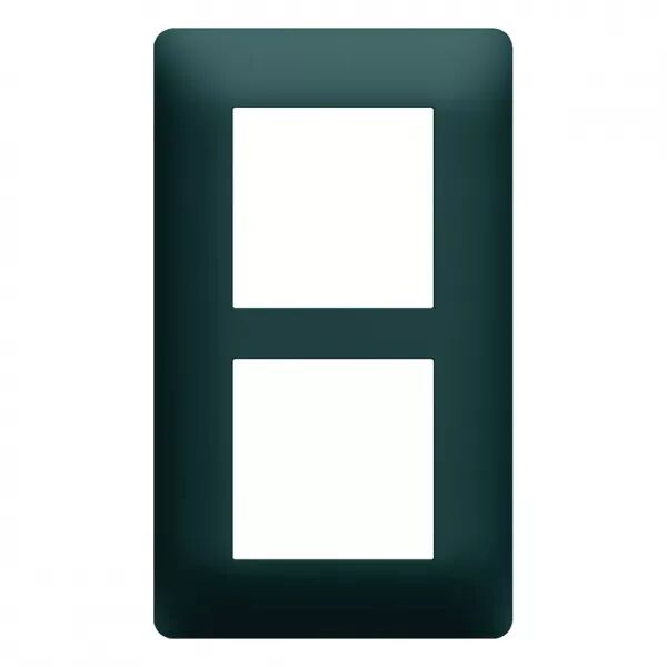 Plaque de finition Essensya 2 postes Anthracite entraxe 57 mm (WE526)
