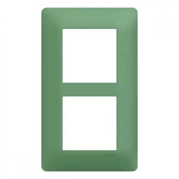 Plaque de finition Essensya 2 postes Botanic entraxe 57 mm (WE546)