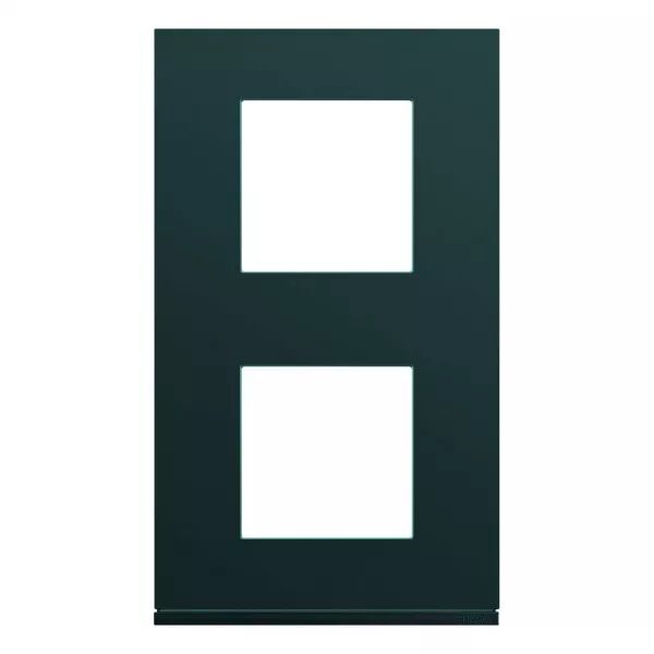 Plaque de finition Gallery 2 postes Anthracite verticale entraxe 71 mm (WXP1042)