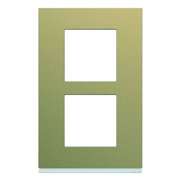 Plaque de finition Gallery 2 postes Champagne verticale entraxe 57 mm (WXP0422)