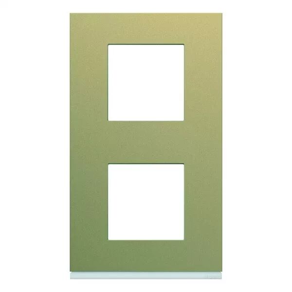 Plaque de finition Gallery 2 postes Champagne verticale entraxe 71 mm (WXP0442)