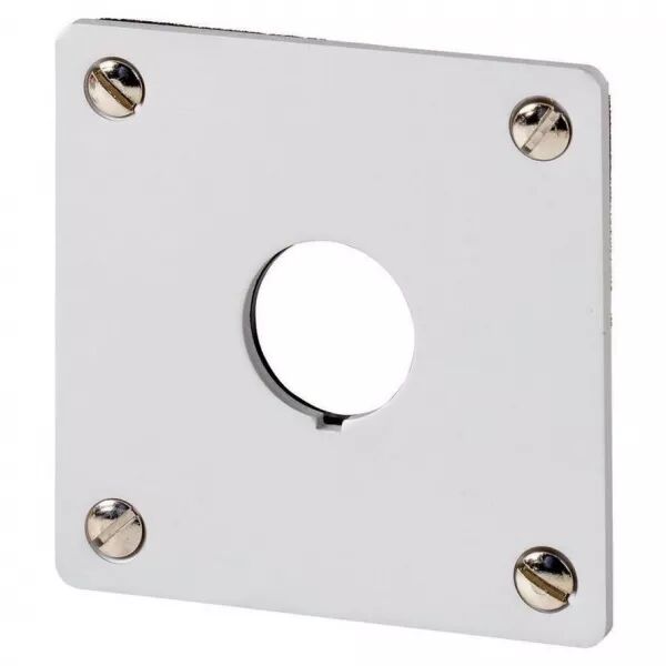Plastron d\'encastrement, 1 emplacement de montage (216541)