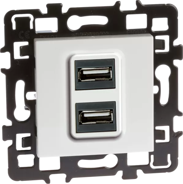 Prise double USB A (61829)