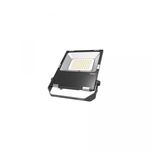 PROJECTEUR ROCK 50W CTC 3000-5000K IP65
