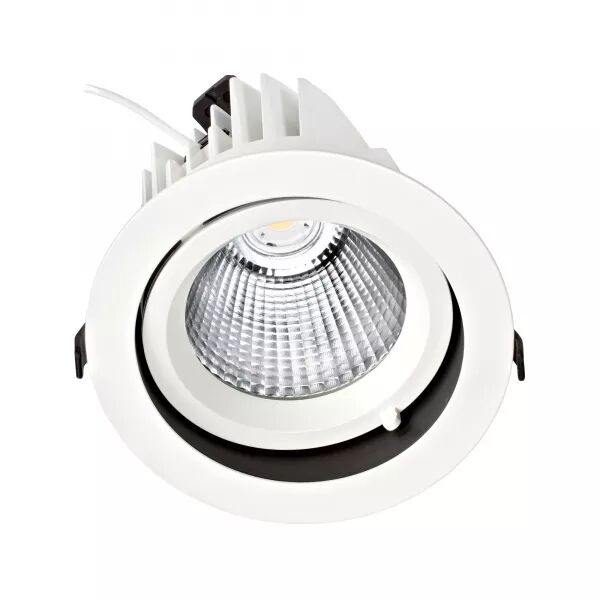 RANDY 4 - DOWNLIGHT ROND, ORIENTABLE, BLANC, 70�, LED INT�G 41W 3000K 4000LM