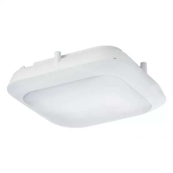 RHEA GM BLANC 20W 4000K-IRC80-IP66-IK10 2000lm (301457)