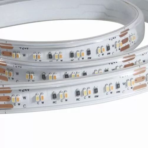 RUBAN LED 240LED/M 2110 24V IP67 BICOLOR CRI90 5M