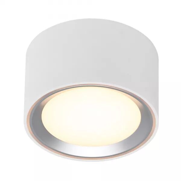 SURFACE SPOT - FALLON - M�TAL - BLANC/ACIER - LED MODULE INCL.