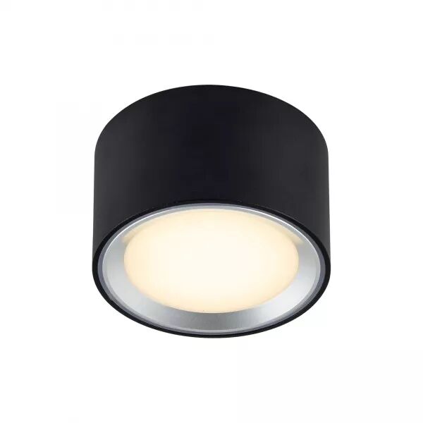 SURFACE SPOT - FALLON - M�TAL - NOIR/ACIER - LED MODULE INCL.