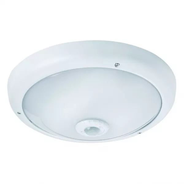 TRITON BLANC 24W 2900K-IP54-IK06-CLII 2100lm DET IR ON-OFF MAITRE (300106)