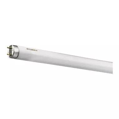 Tubes Fluorescents T8 F14W/T8/865 (0000135)