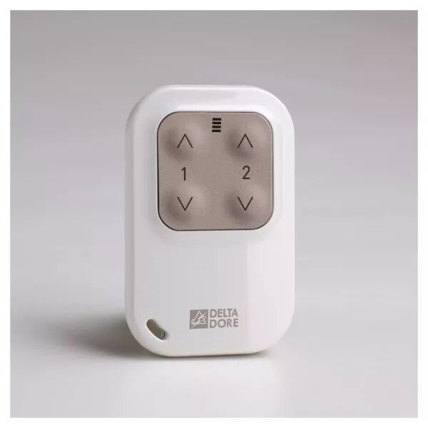 Tyxia 1400 | T�l�commande porte-cl� radio 2 voies - Eclairage - Volet roulant (6351388)