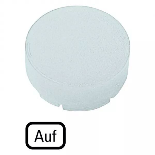 Verrine pour boutons-poussoirs, saillante blanche, AUF (218360)