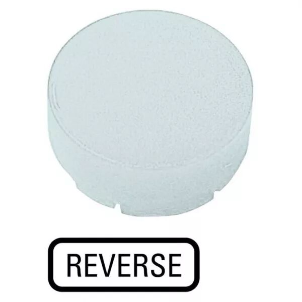 Verrine pour boutons-poussoirs, saillante blanche, REVERSE (218381)
