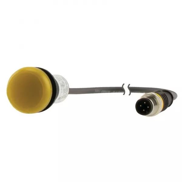 Voyant lumineux; allum� en jaune; 24 V; avec c�ble 1m et connecteur m�le M12A (181061)