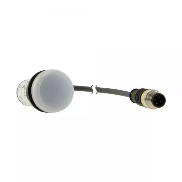 VOYANT LUMINEUX, BLANC, 24 V, AVEC C�BLE 1M ET CONNECTEUR M�LE M12A