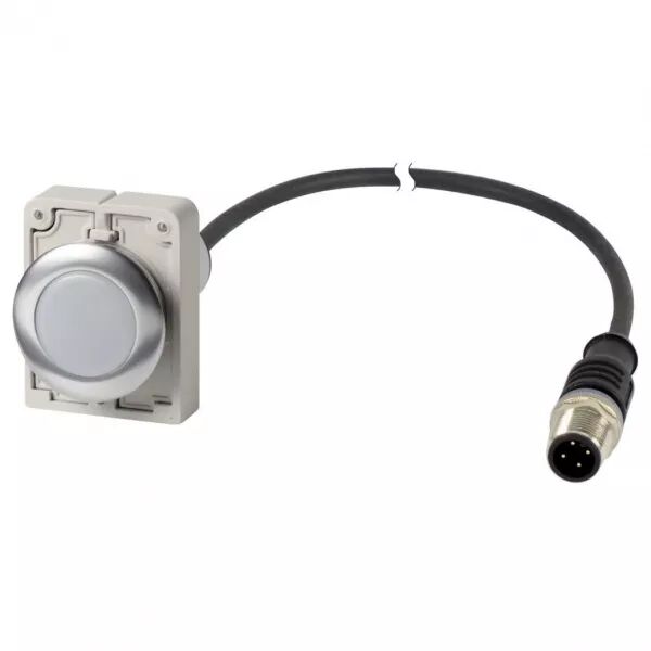 Voyant lumineux, blanc, 24 V AC/DC, cable et connecteur M12A, 4-pole, 1 m (186015)