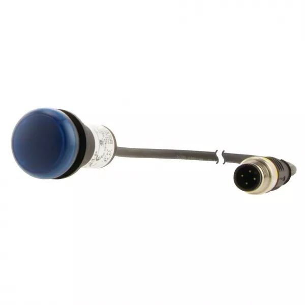 Voyant lumineux; bleu; 24 V; avec c�ble 1m et connecteur m�le M12A (181137)