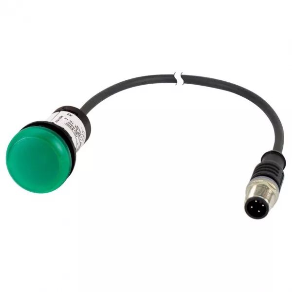 Voyant lumineux,24V,vert,c�ble,0,2m,M12A (185120)