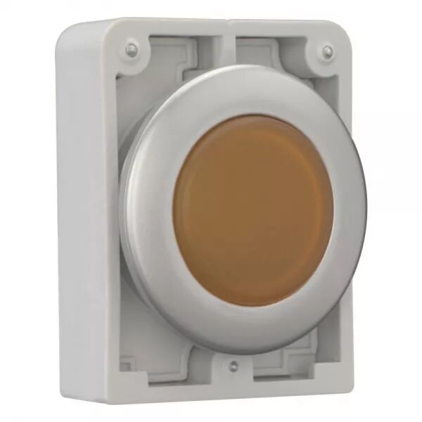 VOYANT LUMINEUX 30MM, FLUSH, ORANGE